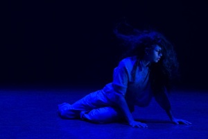 Dancenorth looks to the future