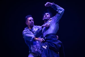 REVIEW: SYDNEY FESTIVAL
