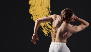 Photo gallery: WA Ballet rehearse 'van Gogh'