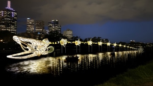 Goodbye Melbourne Festival; hello Rising