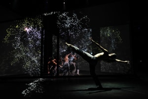 Grab yourself an OzAsia experience!