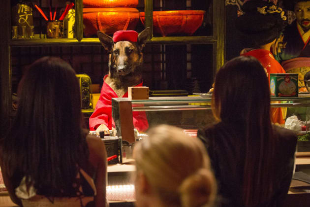 Angie Tribeca