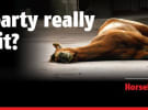 Billboard showing dead horse cleared by ASB, as Melbourne Cup favourite dies 