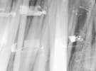 GroupM pushes viewability standard with Twitter deal