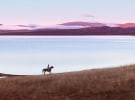 Destination NSW launches Feel New campaign via Leo Burnett