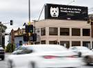 EssenceMediacom and The&Partnership deliver MY DOG
