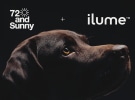 72andSunny wins pet tech ilume account