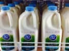 AnalogFolk wins a2 Milk