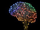 Half of Australia's social media creators use AI