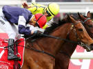 Melbourne Cup TV ratings down, streaming numbers race ahead