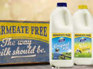 Dairy Farmers creative account out to pitch