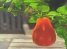 The KraftHeinz global media account is up for pitch