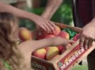 Metcash secures ACCC approval to buy Woolies homewares assets