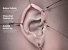 Tug of War: Who has the consumer's ear?