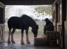 15 Super Bowl ad facts that you need to know