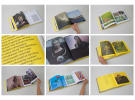 The Monkeys celebrates 10 years of provocation with a limited edition book