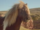 OPINION: The Prancing Three Pony - Dancing With Emotion