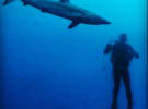 Consumer watchdog warns about 'marketing sharks'