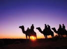 Tourism Northern Territory checks in on Instagram