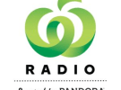 Pandora launches in-store radio for Woolworths