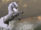 Agencies seeking to raid consultancies for data 'unicorns'