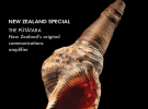 AdNews October Edition: New Zealand Special