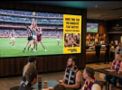 Adrenalen Group launches in-venue live sport advertising network