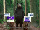 Aldi shows Coles and Woolies how to do great ads that sell