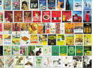 AdNews and Lida Investigation: The journey of the Australian woman within advertising