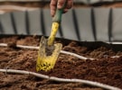Val Morgan Digital launches tree-planting initiative