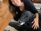 The WFH Diaries - Angie Smith at MediaSmiths