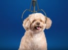 'Totally inappropriate' Aldi ad rules ok by ASB