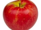 How d'you like them apples? Coles sprung for misleading apples ad