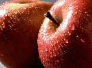 Watchdog: Woolworths #applegate