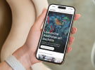 Wonderful wins Artbid
