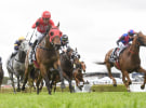 The Australian Turf Club appoints Emotive as creative agency partner