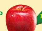Aussie Apples 'Hit Refresh' via TBWA Sydney