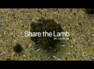 MLA unites Australians for the ultimate social feed
