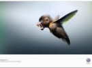 An AI's attempt at recreating a famous commercial