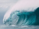 Temu and Shein ‘flooding’ Australia with advertising dollars