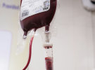M&C Saatchi wins Lifeblood pitch