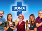 Fur Media advertising deal with Bondi Vet
