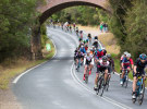Bowral Classic nominated for fifth award in two years at Australian Event of the Year Awards