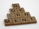 Government and council agency panels create new problems