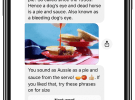 Meet Bruce the Bot who speaks Australian slang
