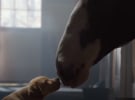 Budweiser ducks a round at the Super Bowl