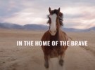 What to expect from the 2022 Super Bowl commercials