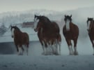 Super Bowl 2024 trailers - Budweiser, M&M’S, Bud Light, REESE'S, Michelob ULTRA 