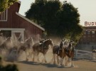 Super Bowl 2025 trailers - Budweiser, Reece’s, Häagen-Daz