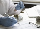 Marketing Australian cannabis 